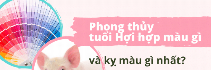 Màu xanh lá cây, xanh dương, đen đối chọi với tông màu đất tượng trưng cho màu sắc kỵ mệnh thổ 1999